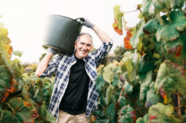 Construction hangar agricole : tout ce que vous devez savoir