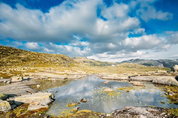 Le charme intemporel du meuble scandinave pour votre intérieur